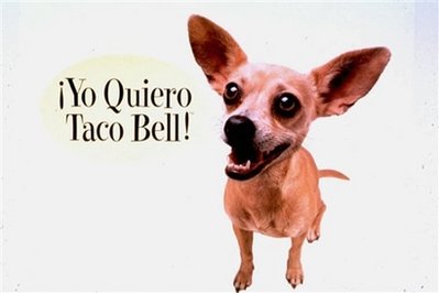 This undated picture provided by Taco Bell shows part of a Taco Bell advertisement featuring a Chihuahua professing his love for tacos.