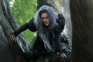 Meryl Streep stars as the Witch in Into the Woods (AP photo) 