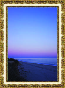 Photo of the week frame
