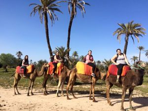 Jess and other students studying abroad rode camels while in Morocco  (Photo provided by Jess Sullivan)