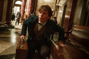 Eddie Redmayne stars as Newt Scamander in the upcoming Fantastic Beasts and Where to Find Them  (AP Photo)